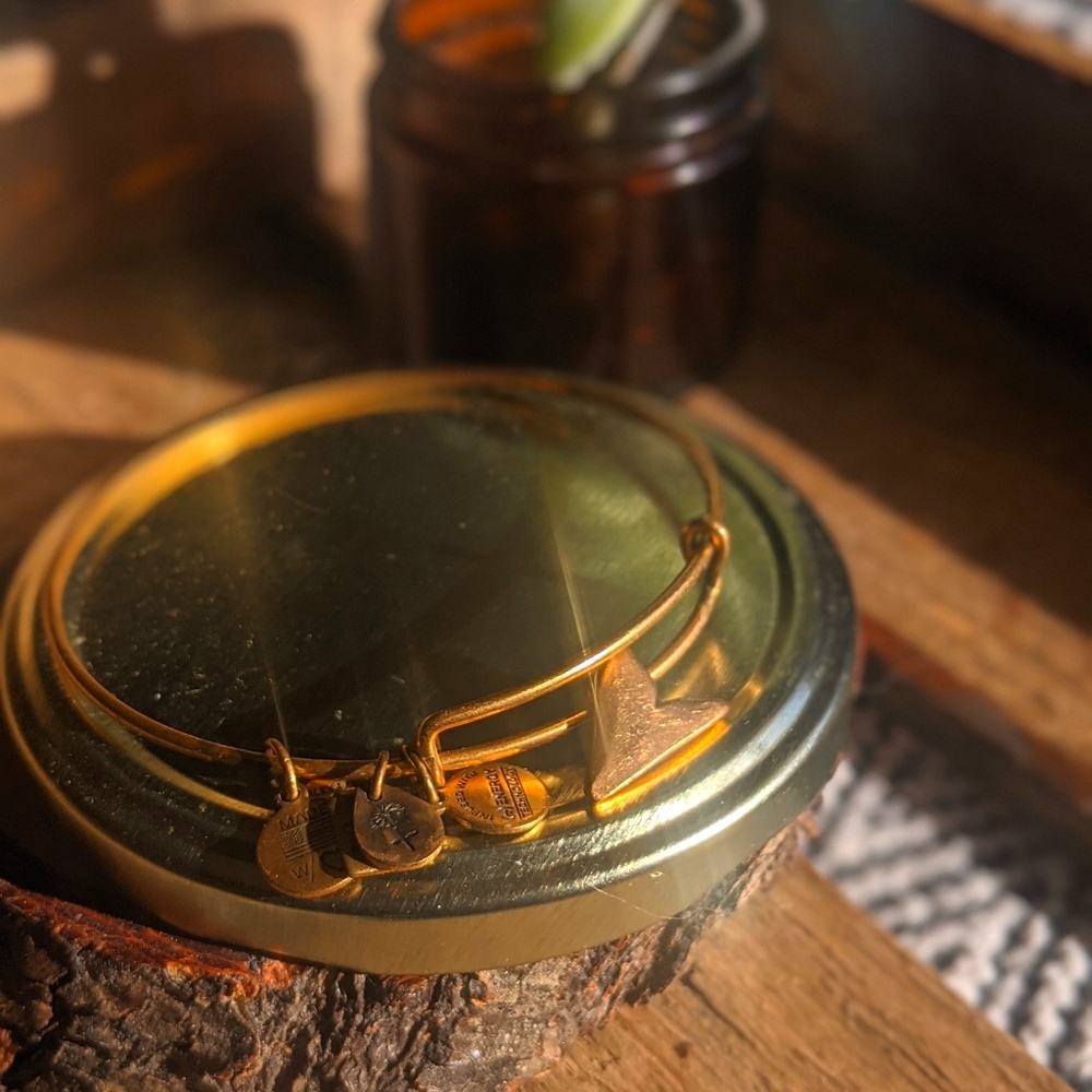 Alex & Ani - shark fin charm bracelet 🦈